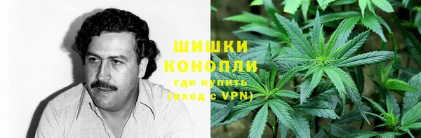 крисы Баксан