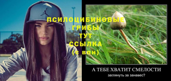 гидра Арсеньев