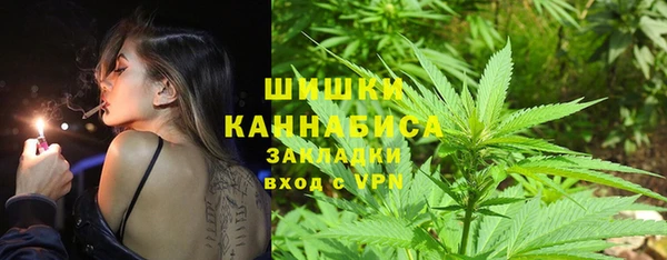 крисы Баксан