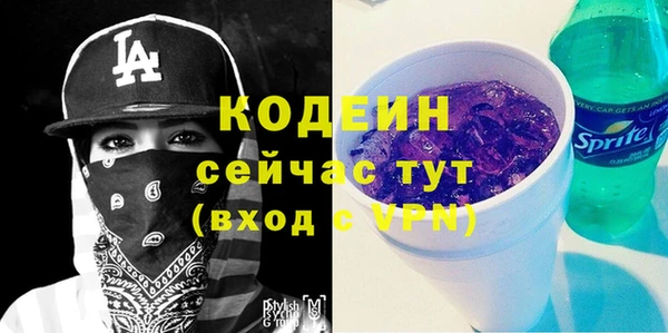 гидра Арсеньев