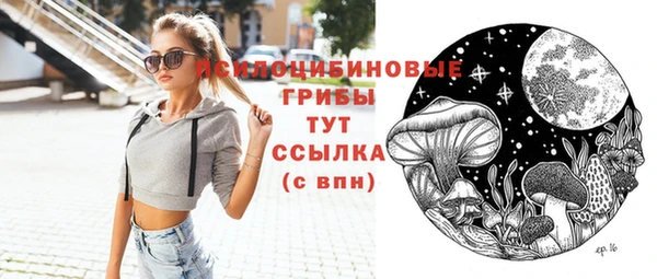 винт Армянск