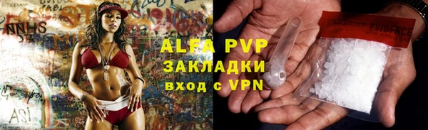 крисы Баксан