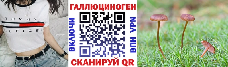 Галлюциногенные грибы MAGIC MUSHROOMS  Красный Сулин 