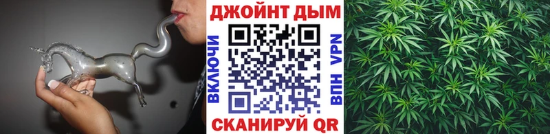 Бошки Шишки семена  Красный Сулин 